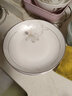 瓷秀源新款骨瓷菜盤(pán)陶瓷碟子8寸可微波好看的炒菜盤(pán)子創(chuàng  )意深盤(pán)圓形平盤(pán) 曬單實(shí)拍圖