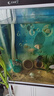 魚(yú)呼吸魚(yú)缸加熱棒500w自動(dòng)恒溫變頻低水位烏龜加溫棒海缸小型迷你加熱器 曬單實(shí)拍圖