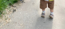 江博士（DR·KONG）夏季男童舒适潮流宝宝学步鞋透气幼儿童鞋 休闲包头国货儿童凉鞋 白/黑 22码  脚长约12.9-13.5 实拍图