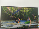 AOC 26.5英寸2K 原生240Hz QD-OLED 原生10Bit 0.03ms HDR 硬件低藍光 電競游戲FPS顯示器 Q27G41ZDF 曬單實拍圖