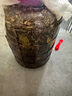 吾家余堂釣魚(yú)中藥材配方野釣黑坑鯉魚(yú)鯽魚(yú)鰱鳙餌料藥酒小藥泡酒材 珍選二十余味配方可泡五斤酒(贈麝香) 曬單實(shí)拍圖