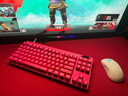 羅技（G）PRO X TKL RAPID/GPW RT快銀磁軸電競鍵盤(pán)  FPS/無(wú)畏契約/瓦羅蘭特 RT快速觸發(fā)（粉色） 曬單實(shí)拍圖