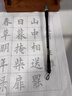 毛筆書(shū)法專(zhuān)用高級套裝文房四寶全套專(zhuān)業(yè)款一套國畫(huà)成人初學(xué)者入門(mén)練習寫(xiě)毛筆字練字書(shū)畫(huà)大狼毫兼毫專(zhuān)業(yè)級軟筆 【專(zhuān)業(yè)款】書(shū)法毛筆15支裝/送筆簾+毛氈+教學(xué)視頻 曬單實(shí)拍圖