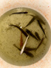野營(yíng)者黑戰神29升防刮釣箱全套新款多功能釣魚(yú)箱魚(yú)桶垂釣競技釣箱 29L 帶輪雙炮臺 雙軌道夜釣款+工具層+支架*2 曬單實(shí)拍圖