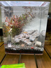 森淵 魚(yú)缸造景套餐水草泥草種子假山石頭造景石底砂魚(yú)缸裝飾水族箱草 15cm套餐 曬單實(shí)拍圖