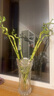 富貴竹水培植物盆栽綠植室內花客廳水養轉運觀(guān)音竹一帆風(fēng)順節節高 50cm轉運竹彎竹6棵+3燈籠+營(yíng)養液 不含盆 曬單實(shí)拍圖
