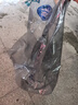 嘉實(shí)多（Castrol）先進(jìn)全合成汽機油 極護專(zhuān)享 API SP/C2 5W-30 4L 京東養車(chē) 曬單實(shí)拍圖