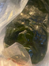 榮成海帶 國家地理標識 整顆大海帶 鹽漬半干貨火鍋麻辣燙食材涼拌菜 整顆大海帶5斤裝 曬單實拍圖