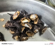 藕荷泥（OUHENI）現摘洪湖新鮮菱角老菱角黑菱角青菱角米新鮮粉糯湖北特產(chǎn)生鮮棱角 精品老菱角4斤 順豐保鮮發(fā)貨 曬單實(shí)拍圖