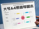 晨光（M&G）思維導圖筆記本子a4大號學(xué)霸學(xué)習重點(diǎn)筆記本學(xué)生考研法考專(zhuān)用上翻線(xiàn)圈本加厚記事本 2本裝-無(wú)贈品 曬單實(shí)拍圖