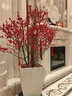 北美冬青盆栽紅果冬青盆景庭院盆栽歐洲紅豆果帶果發(fā)貨 十八年精品老樁盆栽 曬單實(shí)拍圖