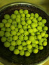 耀好湖南蓮蓬新鮮水果現(xiàn)摘生吃甜嫩鮮蓮子米孕婦水果時令生鮮順豐包郵 現(xiàn)摘蓮蓬2斤【順豐保鮮】 曬單實拍圖