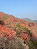 真美詩(shī)（Joy&peace）搖滾甜心冬季新款光澤牛皮舒適粗跟經(jīng)典切爾西靴女YUJ48DD4 黑色 37 曬單實(shí)拍圖