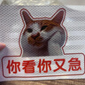 FILA斐樂(lè )官方男裝羽絨服冬季新款時(shí)尚休閑連帽防水防濕外套 正黑色-BK 3XL 190/108A 曬單實(shí)拍圖
