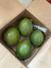 海南新鮮椰青當季現摘椰果孕婦補羊水小奶椰子蛋整箱直發(fā)椰子青椰 4個(gè) 曬單實(shí)拍圖