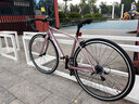 永祺RE200彎把公路自行車(chē)公路車(chē)自行車(chē)成人公路車(chē)入門(mén)級公路賽騎行 冰梅粉 700Cx450mm|身高155-165cm 曬單實(shí)拍圖
