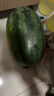 京鲜生 黑美人西瓜 1粒装 单果2.5kg以上 生鲜水果 实拍图