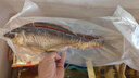 笙笙創(chuàng)鮮順德特產(chǎn)鯪魚干400g廣式臘魚肉腌制干貨淡水魚禮品 （推薦）風(fēng)味鯪魚干3袋 曬單實拍圖