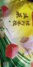 湾仔码头韭菜猪肉水饺1320g66只  早餐夜宵 生鲜速食 速冻饺子 实拍图