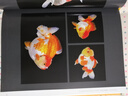官方正版 禮盒裝中國金魚(yú)圖鑒 典藏版 海峽書(shū)局出版社自然科普百科類(lèi)書(shū)籍讀物 無(wú)窮小亮的科普 曬單實(shí)拍圖