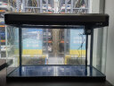 创海鱼缸玻璃长方形客厅家用小型桌面生态金鱼缸中型懒人免换水水族箱 80*30*53cm 单缸 大礼包 实拍图