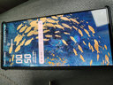 魔護衛(wèi)紅魔9Pro定制鋼化膜手機貼膜9Pro+無白邊高清8Spro非全屏覆蓋電鍍防指紋8Pro防摔+ 0.28mm超清高鋁 電鍍 紅魔9 Pro+ 曬單實拍圖