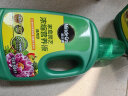 美乐棵 通用营养液500ML/瓶磷酸二氢钾花肥植物绿萝发财树营养液肥料 实拍图