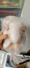 鮮京采 三黃雞4斤（2只裝） 冷凍 散養雞走地雞煲湯食材  源頭直發(fā) 曬單實(shí)拍圖