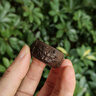 尚庸郡沉水級(jí)越南芽莊黑奇楠沉香雕刻貔貅扳指棋楠戒指文玩木質(zhì)神獸指環(huán) 內(nèi)徑20*壁厚8*高17mm*10克 曬單實(shí)拍圖