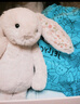 Jellycat花布邦尼兔動(dòng)物毛絨玩偶兔子玩偶兒童禮物娃娃生日新婚禮物 徹蕊（胭脂粉色） Small 曬單實(shí)拍圖