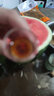 吳宮酒坊同里紅花雕酒 大壇裝半甜型黃酒 送酒吊蘇州伴手酒廠(chǎng)直發(fā) 約20斤 10L 1壇 曬單實(shí)拍圖