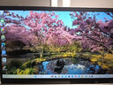 戴爾（DELL）靈越15Pro3530/DC15250輕薄本15.6英寸全能超極本家用金屬學(xué)生辦公商務(wù)超薄游戲手提筆記本電腦 13代酷睿i5 120Hz高刷新護眼屏 【90%客戶(hù)選擇】32G 1TB高 曬單實(shí)拍圖