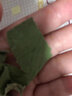 北京同仁中藥材新鮮荷葉無硫天然方片荷葉茶荷葉干荷葉片完整 荷葉250克 曬單實(shí)拍圖