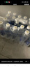 依能 鋅強化 無(wú)糖無(wú)汽弱堿 蘇打水飲料 500ml*24瓶 可飲用飲品 塑膜裝 曬單實(shí)拍圖