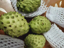 小筑傾橙【順豐快遞】臺灣品種牛奶鳳梨釋迦果新鮮水果當季時(shí)令禮盒 3斤中果【軟糯多汁】6-7個(gè) 曬單實(shí)拍圖