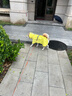MIKI PAD狗狗雨衣中大型犬柯基邊牧金毛寵物雨衣斗篷防水雨披狗狗沖鋒衣 檸檬黃 #快穿設計 3XL（背長(cháng)37-44 參考體重20-36斤） 曬單實(shí)拍圖