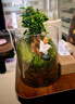 微景觀(guān)生態(tài)瓶桌面創(chuàng  )意苔蘚綠植diy盆栽擺件禮物辦公室室內好養 一隅寧靜（贈隨機1個(gè)小和尚） 曬單實(shí)拍圖