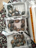 鮮活大鮑魚新鮮冷凍個(gè)大鮮活海捕超大 中號(10只/斤) 1斤 曬單實(shí)拍圖