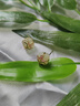 建祿蘭花四葉草和田玉石銀耳釘女氣質耳環(huán)首飾母親生日禮物送老婆媽媽 曬單實拍圖