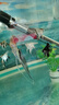 甄夢(mèng)漁野大號神仙魚(yú)燕魚(yú)秘魯七彩淡水魚(yú)紅頭三色雪燕熊貓活體熱帶觀(guān)賞魚(yú) 未發(fā)色神仙隨機發(fā)6條(5+1備）2-3 曬單實(shí)拍圖
