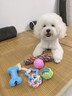 嬉皮狗狗狗玩具磨牙耐咬發(fā)聲自嗨解悶神器寵物玩具泰迪比熊小型幼犬用品 【全家?！恐鲌D款大禮包（13件套） 小型犬適用 曬單實(shí)拍圖