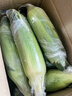 京鮮生云南水果玉米5斤 鮮甜玉米棒 甜脆多汁 新鮮蔬菜 源頭直發(fā)包郵 曬單實(shí)拍圖