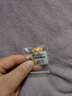 中鑫珠寶 黃金紫荊花耳釘女足金999.9花朵耳墜送媽媽首飾 5.7g 曬單實(shí)拍圖