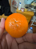 京鮮生 澳大利亞進(jìn)口迷你蜜橘 4.5斤裝 單果重約40g+ 生鮮柑橘水果 曬單實(shí)拍圖