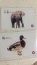 動(dòng)物吃什么食物配對卡片兒童早教互動(dòng)認知玩具自閉癥康復訓練教具 5寸塑封40張動(dòng)物吃什么配對卡 曬單實(shí)拍圖