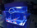 SEA STAR生态海 星小鱼缸客厅小型水族箱创意迷你玻璃家用懒人造景LED灯 320F标配（带20件套） 实拍图
