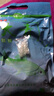 魚(yú)海小旋風(fēng)大青顆粒重窩皮筋掛釣餌誘魚(yú)小藥香精黑鯇青草鯉魚(yú)專(zhuān)攻大物 大青重窩 曬單實(shí)拍圖