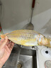 閘坡船鮮曬金線(xiàn)魚(yú)海魚(yú)陽(yáng)江一夜埕咸魚(yú)干海魚(yú)干紅三魚(yú)紅杉魚(yú)紅哥里刀鯉魚(yú) 一夜埕金線(xiàn)魚(yú)干  250g 曬單實(shí)拍圖
