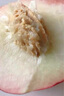 橙市碼頭無(wú)錫水蜜桃禮盒裝 純甜多汁 白鳳水蜜桃子新鮮孕婦水果整箱送禮 12枚禮盒裝【單果4-5兩 凈重5.2斤】 曬單實(shí)拍圖