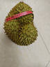榴小橔泰國進(jìn)口金枕頭榴蓮水果 新鮮鮮果帶殼金枕榴蓮 保鮮整個(gè)榴蓮 4-5斤金枕榴蓮（1-2個(gè)） 曬單實(shí)拍圖